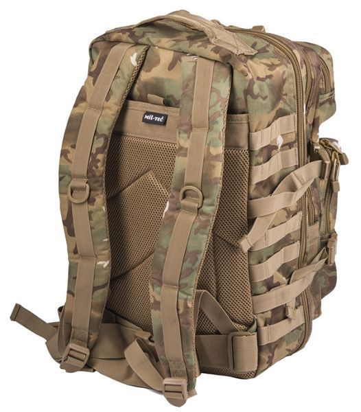 Рюкзак Mil-Tec US Assault Pack 36 л W/L-ARID 14002256 P123642 фото