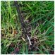 Намет двомісний Mil-Tec Mini Pack Standard Woodland 14205020 M1255551904 фото 4