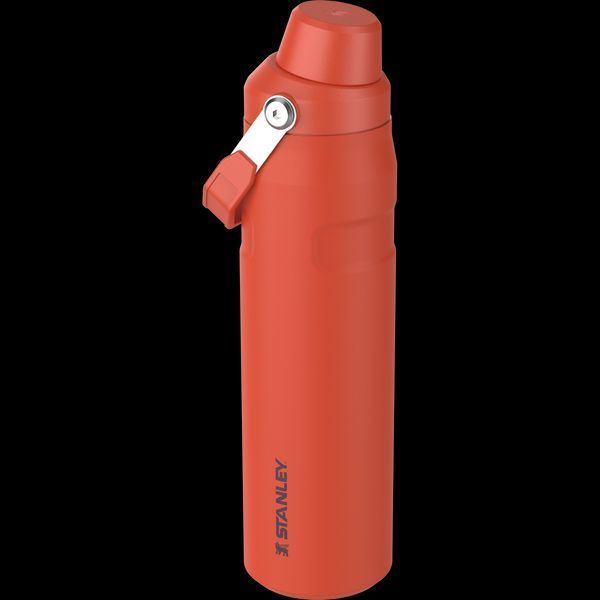 Бутылка для воды Stanley Aerolight IceFlow 0.6l - tigerlily 10-12515-003 A9730 фото