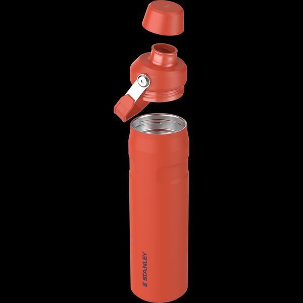 Бутылка для воды Stanley Aerolight IceFlow 0.6l - tigerlily 10-12515-003 A9730 фото