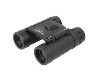 Складаний бінокль Mil-Tec Mini 8x21 Black 15701002 A7962 фото