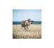Рюкзак тактический Helikon-Tex Ratel Mk2 25 л Black PL-RT2-CD-01 P1237250 фото 8