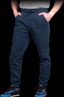 Брюки мужские защитные REIS ADVENTURE JOGGER G S P1236854 фото
