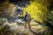 Рюкзак Helikon-Tex BERGEN Rhodesian Camo PL-BGN-CD-1K A8272 фото 2