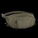 Поясна сумка Helikon-Tex BANDICOOT Waist Pack Cordura RAL 7013 TB-BDC-CD-81 P1237441 фото 1