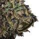 Набір пончо та штани Helikon-Tex LEAF GHILLIE US Woodland KP-LFG-PO-03 M1255551063 фото 3
